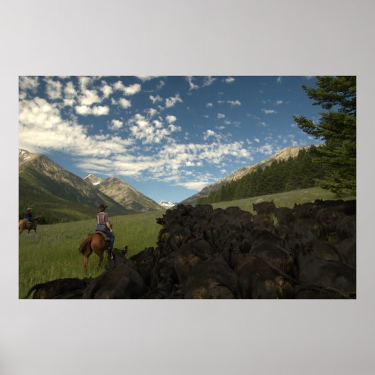 Poster Conduire dans les fous (Devant)