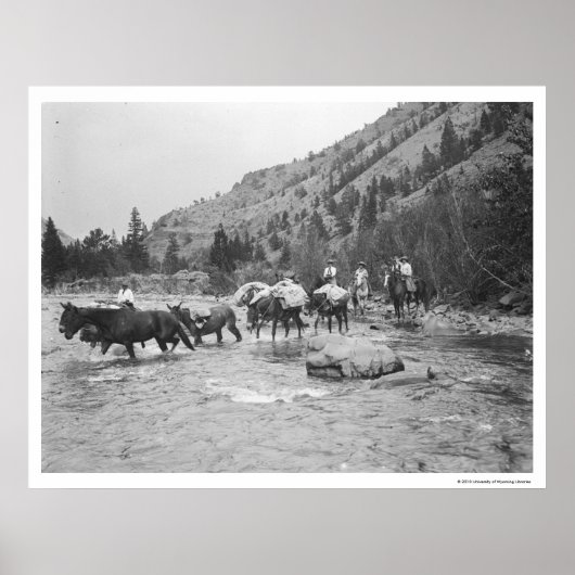 Poster Conduire des mules à travers une rivière (Devant)