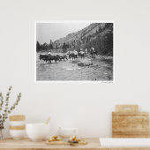 Poster Conduire des mules à travers une rivière (Cuisine)
