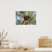 Poster Cône de pin (Cuisine)