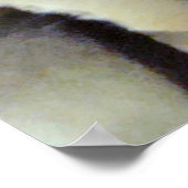 Poster Cône de pin (Coin)