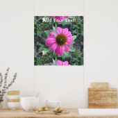 Poster Coneflower (Cuisine)