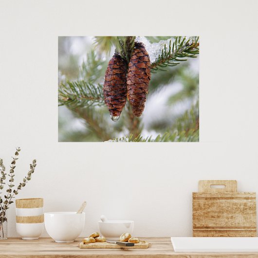 Poster Cônes glacés (Cuisine)