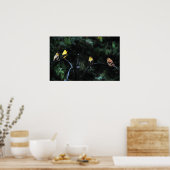 Poster Conférence des oiseaux (Cuisine)