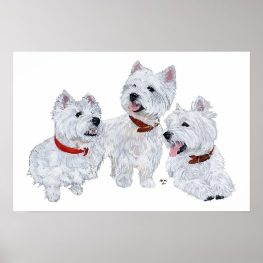 Poster Conférence Westie (Devant)
