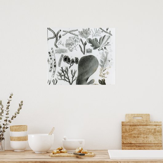 Poster Conferra Fucus (Cuisine)