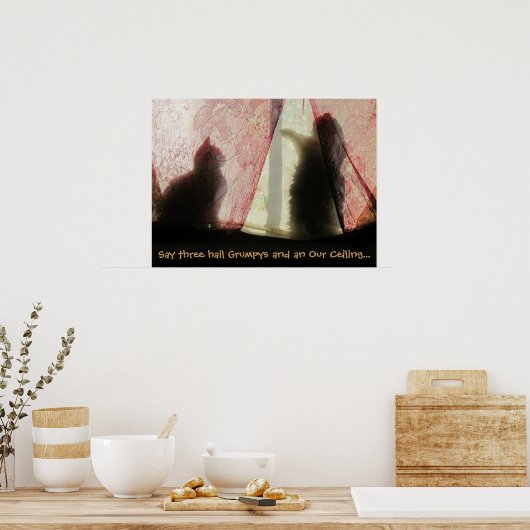 Poster Confessions de chats (Cuisine)