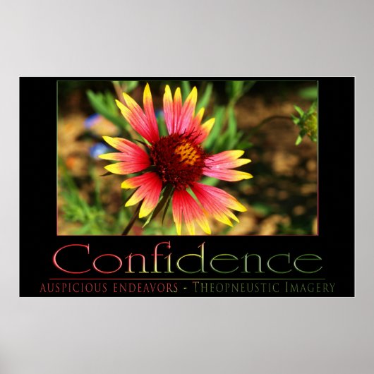 Poster Confiance (Devant)
