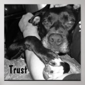 Poster Confiance animale (Devant)