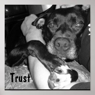 Poster Confiance animale