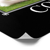 Poster Confiance Cat Art Drôle (Coin)