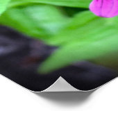 Poster Confleur, (Coin)