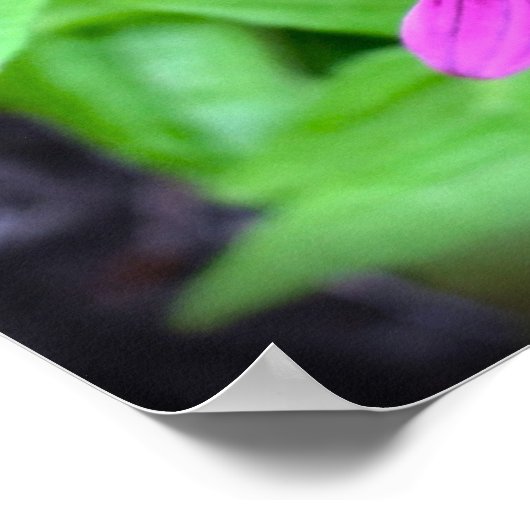 Poster Confleur, (Coin)