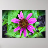 Poster Confleur, (Devant)