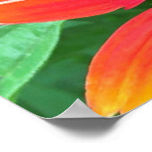 Poster Confleur, (Coin)