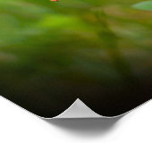 Poster Confleur, (Coin)