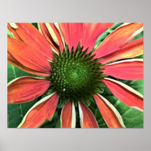 Poster Confleur,