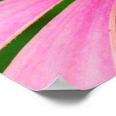 Poster Confleur (Coin)