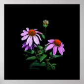 Poster Confleur violet sur noir (Devant)