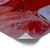 Poster Conflower in Ice, (Coin)