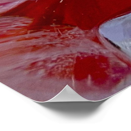 Poster Conflower in Ice, (Coin)