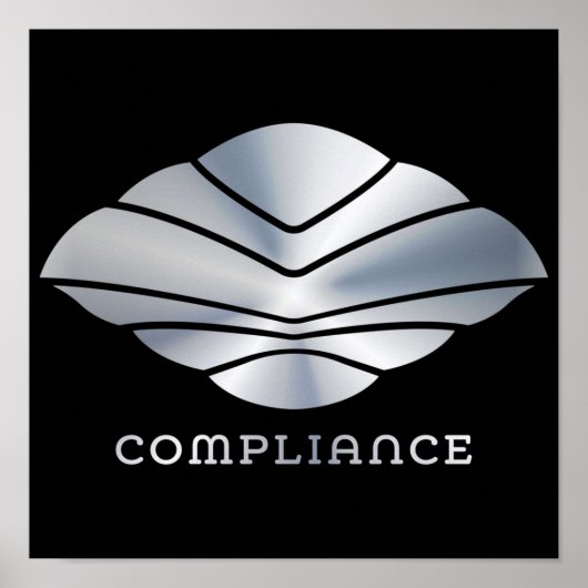 Poster Conformité MAX du vol du Navigateur (Devant)