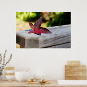 Poster Congé d'automne (Cuisine)