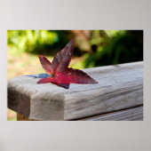 Poster Congé d'automne (Devant)