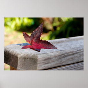 Poster Congé d'automne