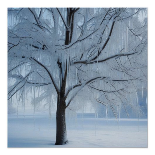 Poster Congelé dans le temps (Devant)