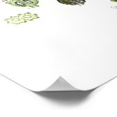 Poster Conium maculatum (Coin)