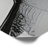 Poster Conjoint (Coin)