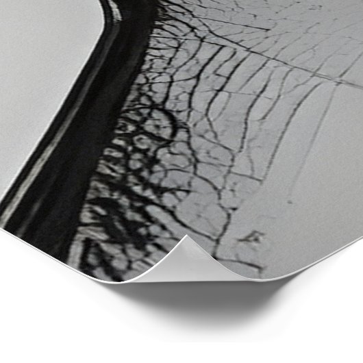 Poster Conjoint (Coin)