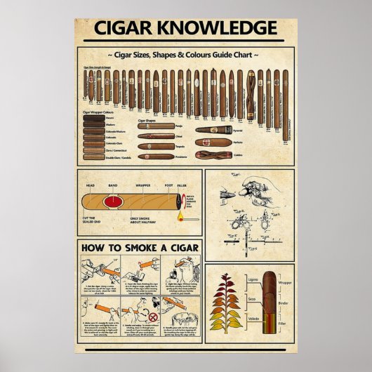 Poster Connaissance du cigar (Devant)