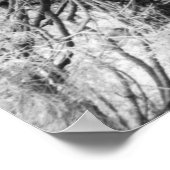 Poster Connaissances (Coin)