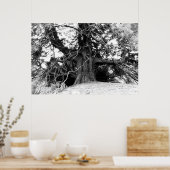 Poster Connaissances (Cuisine)