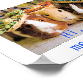 Poster Connaissances des porcs de Guinée (Coin)