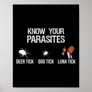 Poster Connaissez Vos Parasites - Tic De Cerf, Tic De Chi
