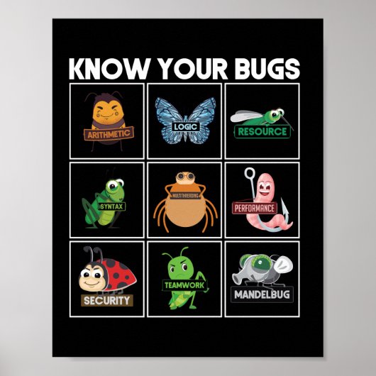 Poster Connaître le codage de votre programmeur de bogues (Devant)