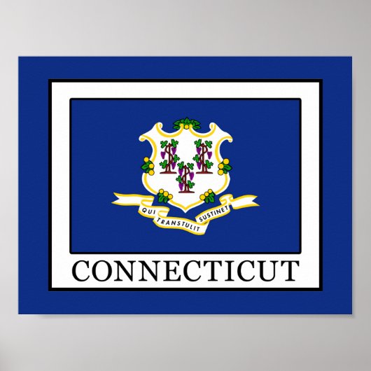 Poster Connecticut (Devant)