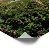 Poster Connemara 11x14 (Coin)