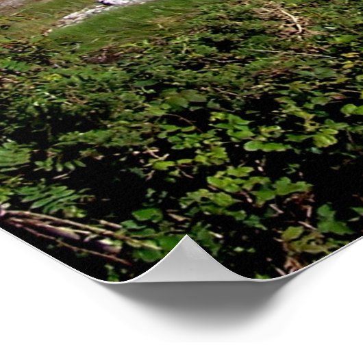 Poster Connemara 11x14 (Coin)