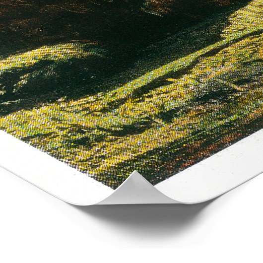 Poster Connexion automatique dans la forêt géante, séquoi (Coin)