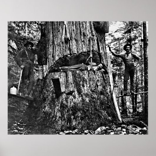 Poster CONNEXION CANADA c. 1890 (Devant)