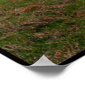 Poster Conquering the Mountain (Coin)