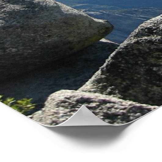 Poster Conquérir le monde (Coin)