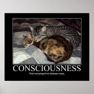 Poster Conscience...Ce temps agaçant artisanat
