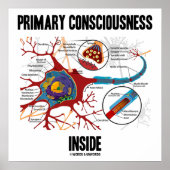 Poster Conscience primaire à l'intérieur (Neuron / Synaps (Devant)