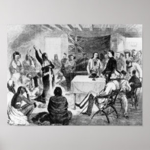 Poster Conseil Bull, 1877