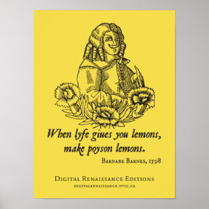 Poster Conseil d'âge de S (t)